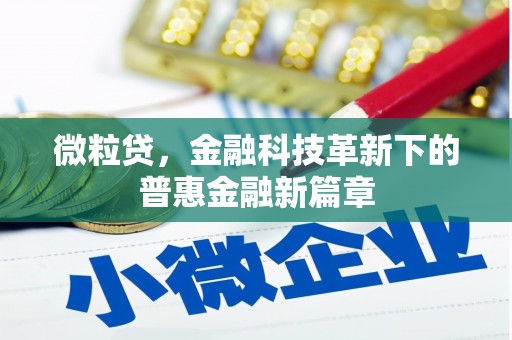 腾冲微粒贷，金融科技革新下的普惠金融新篇章