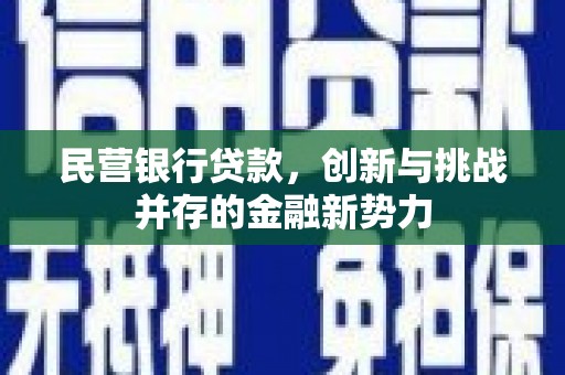 腾冲民营银行贷款，创新与挑战并存的金融新势力