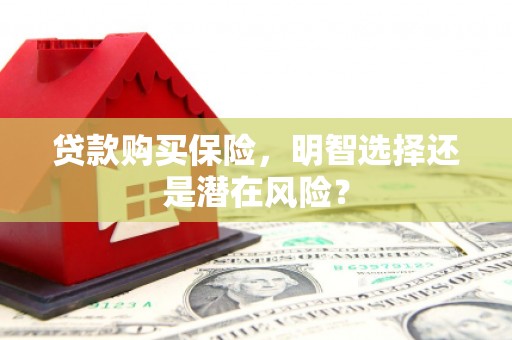 腾冲贷款购买保险，明智选择还是潜在风险？