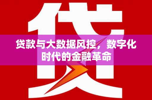 腾冲贷款与大数据风控，数字化时代的金融革命