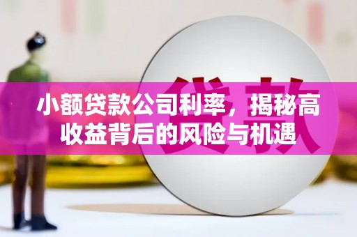 腾冲小额贷款公司利率，揭秘高收益背后的风险与机遇