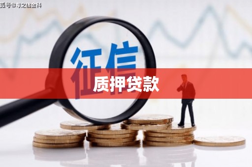 腾冲质押贷款