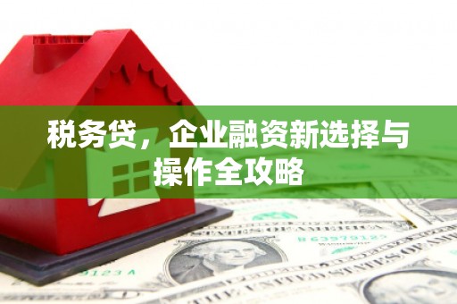 腾冲税务贷，企业融资新选择与操作全攻略