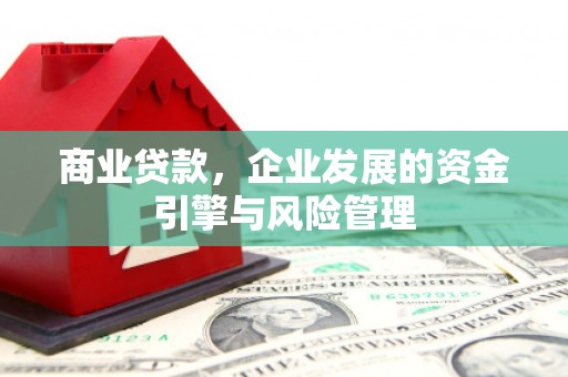 腾冲商业贷款，企业发展的资金引擎与风险管理