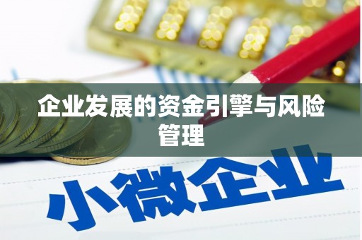 腾冲企业发展的资金引擎与风险管理