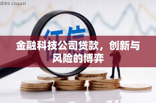 腾冲金融科技公司贷款，创新与风险的博弈