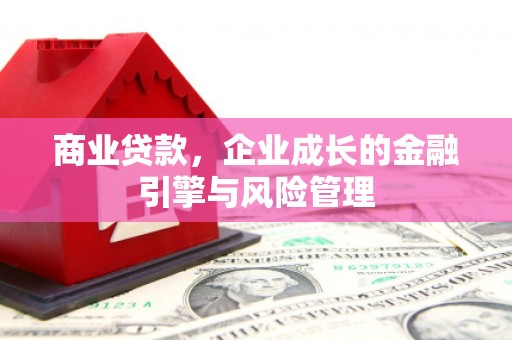 腾冲商业贷款，企业成长的金融引擎与风险管理