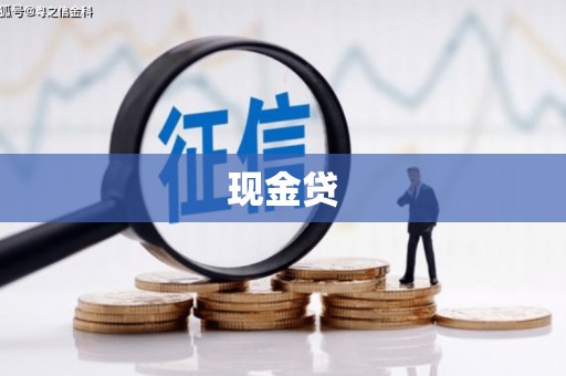 腾冲现金贷