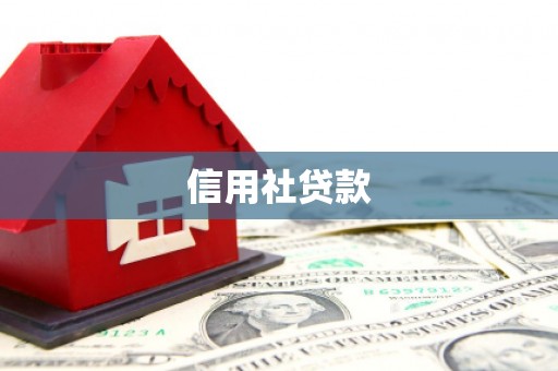 腾冲信用社贷款