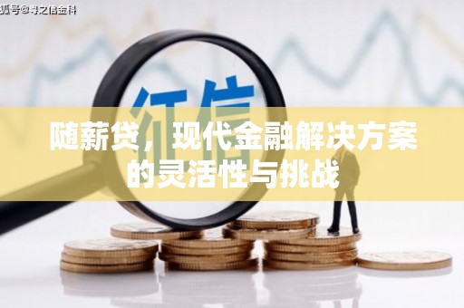 腾冲随薪贷，现代金融解决方案的灵活性与挑战