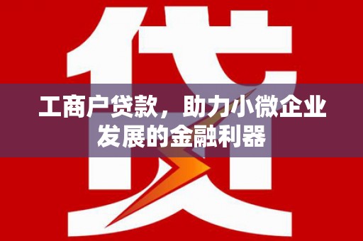 腾冲工商户贷款，助力小微企业发展的金融利器