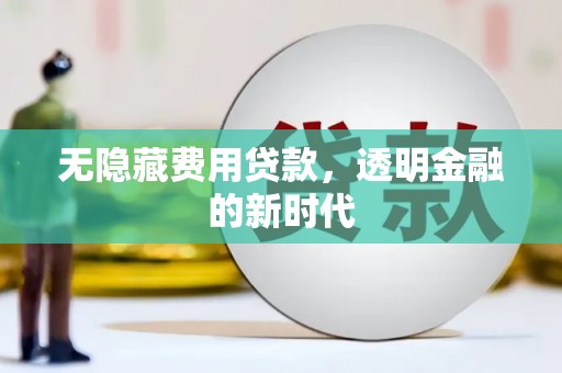 腾冲无隐藏费用贷款，透明金融的新时代
