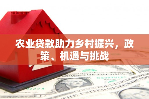 腾冲农业贷款助力乡村振兴，政策、机遇与挑战