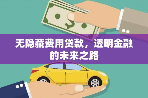 腾冲无隐藏费用贷款，透明金融的未来之路