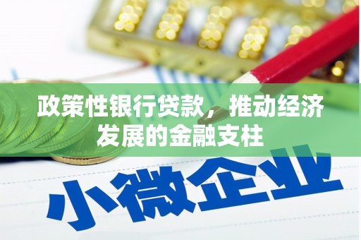 腾冲政策性银行贷款，推动经济发展的金融支柱