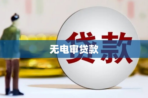 腾冲无电审贷款