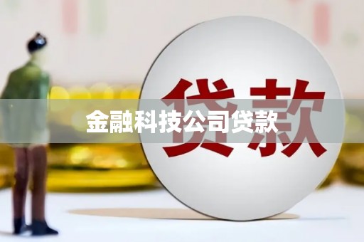 腾冲金融科技公司贷款