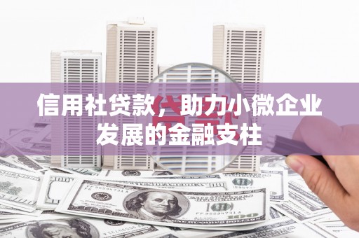 腾冲信用社贷款，助力小微企业发展的金融支柱