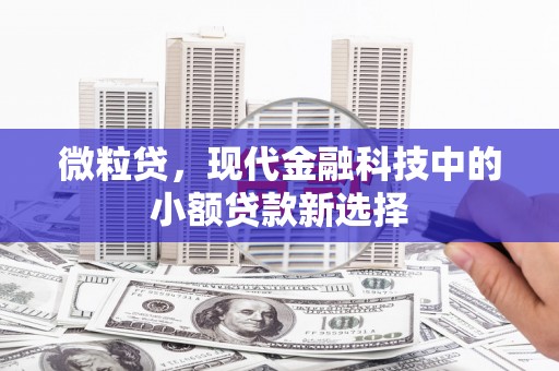 腾冲微粒贷，现代金融科技中的小额贷款新选择