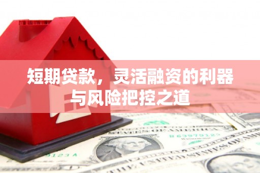 腾冲短期贷款，灵活融资的利器与风险把控之道