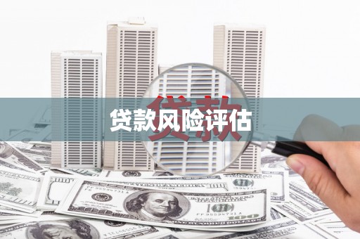 腾冲贷款风险评估