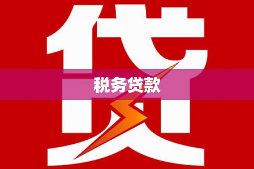 腾冲税务贷款