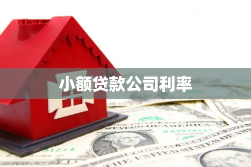 腾冲小额贷款公司利率