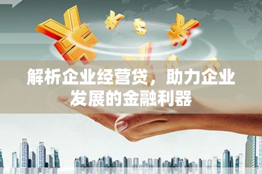 腾冲解析企业经营贷，助力企业发展的金融利器
