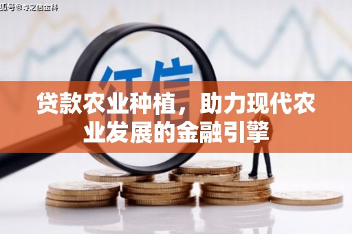 腾冲贷款农业种植，助力现代农业发展的金融引擎
