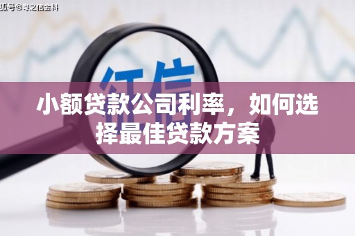 腾冲小额贷款公司利率，如何选择最佳贷款方案