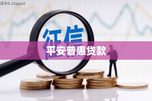 腾冲平安普惠贷款