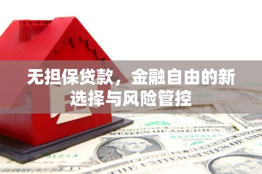 腾冲无担保贷款，金融自由的新选择与风险管控