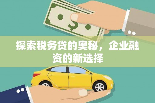腾冲探索税务贷的奥秘，企业融资的新选择