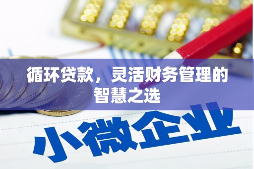 腾冲循环贷款，灵活财务管理的智慧之选
