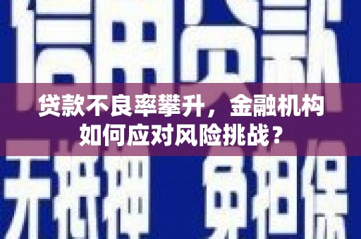 腾冲贷款不良率攀升，金融机构如何应对风险挑战？