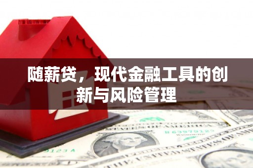 腾冲随薪贷，现代金融工具的创新与风险管理