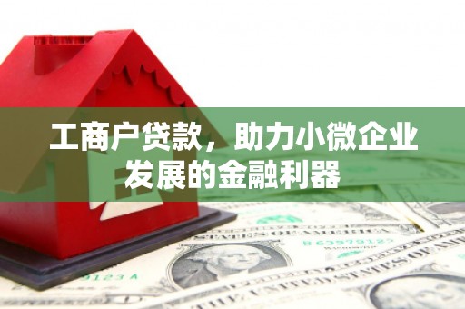 腾冲工商户贷款，助力小微企业发展的金融利器