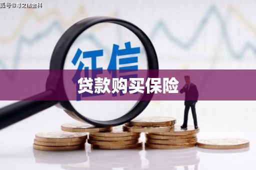 腾冲贷款购买保险