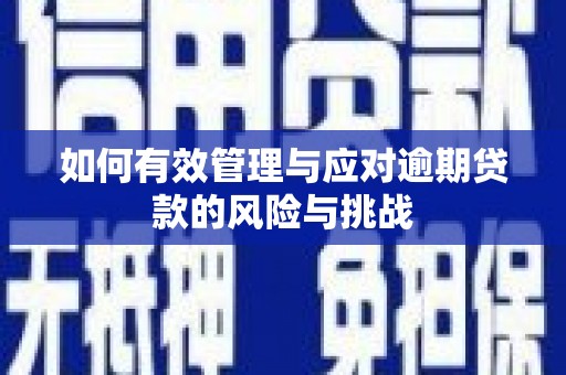腾冲如何有效管理与应对逾期贷款的风险与挑战