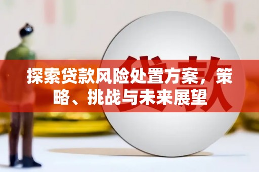 腾冲探索贷款风险处置方案，策略、挑战与未来展望