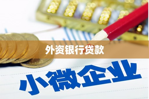 腾冲外资银行贷款