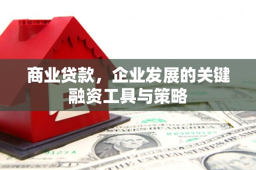 腾冲商业贷款，企业发展的关键融资工具与策略