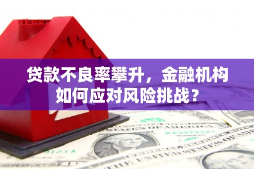腾冲贷款不良率攀升，金融机构如何应对风险挑战？