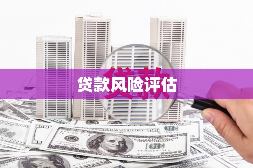 腾冲贷款风险评估