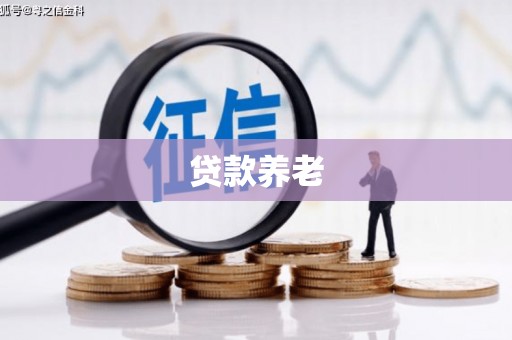 腾冲贷款养老
