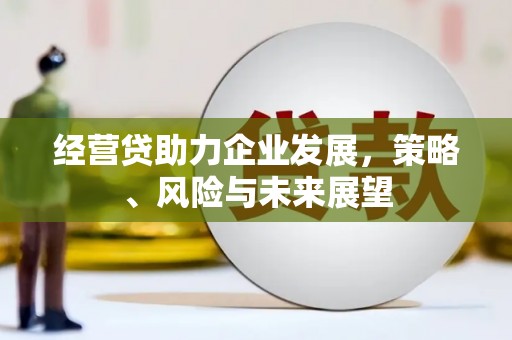 腾冲经营贷助力企业发展，策略、风险与未来展望