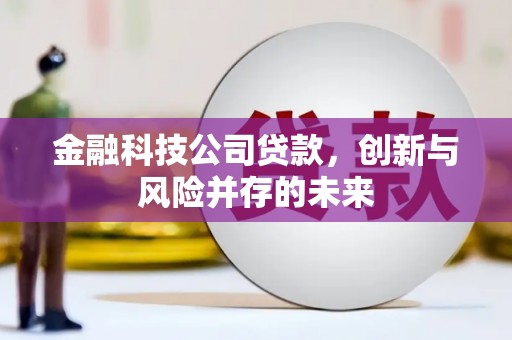 腾冲金融科技公司贷款，创新与风险并存的未来