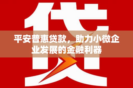 腾冲平安普惠贷款，助力小微企业发展的金融利器