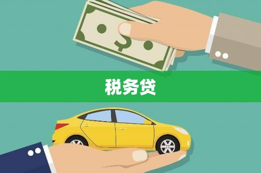腾冲税务贷