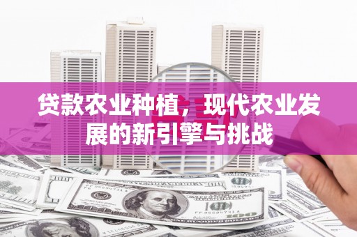 腾冲贷款农业种植，现代农业发展的新引擎与挑战